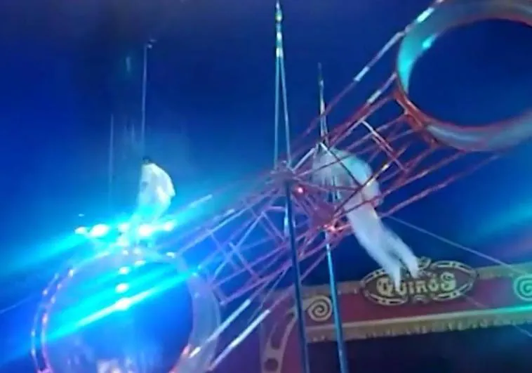 Show goes on after trapeze artist survives fall from 'wheel of death' at Madrid circus