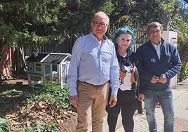 The town's GAB association controls the stray cat population, sterilising and registering them.