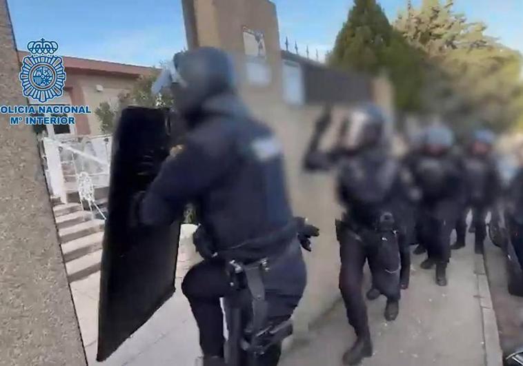Watch as police smash gang that smuggled cocaine hidden in plant pots through Malaga port