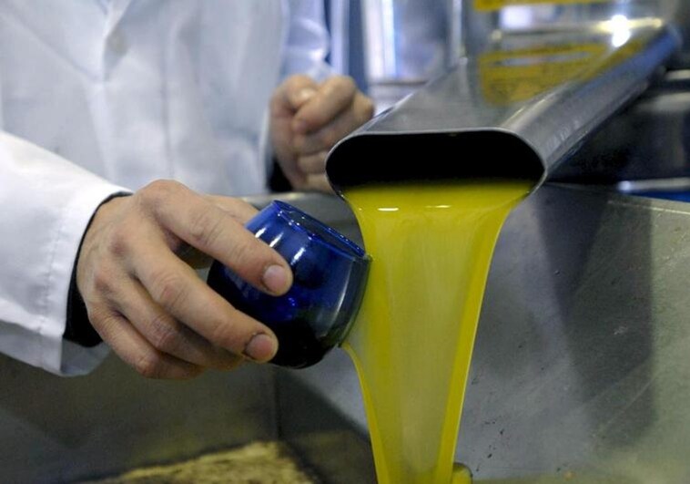 Olive oil quality control during its production. File image.