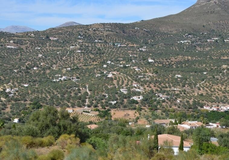 Five people have been arrested following a wave of burglaries in rural areas of the Axarquía