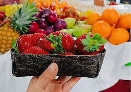 Seaweed packaging being trialled as alternative to plastic