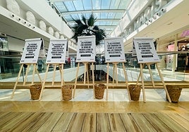 Miramar organises activities to support all people with Down syndrome.