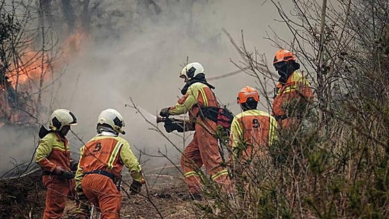Arsonists blamed as more than a hundred fires devastate Spain's Asturias region