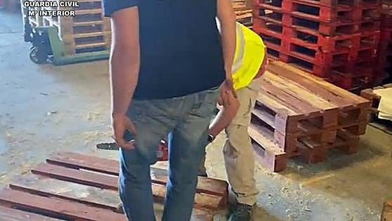 Over one hundred people arrested in contaminated wooden pallet raids