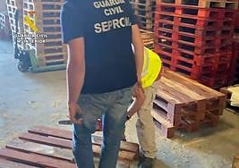 Seprona officers check pallets have been correctly treated.