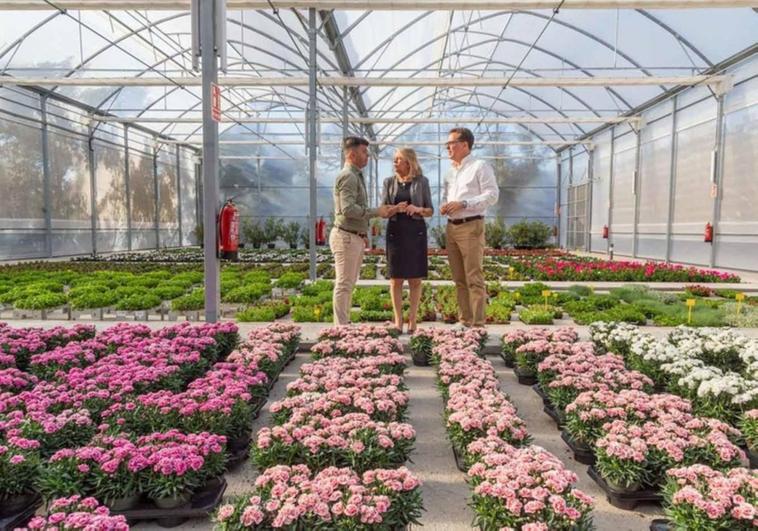 Council nursery set to grow 600,000 plants a year to decorate Marbella