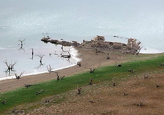 Stumps of trees exposed by the receding waters.