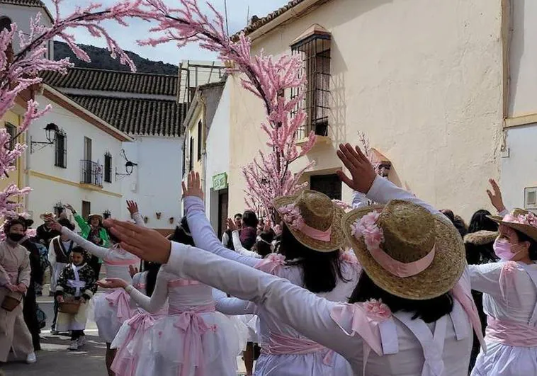 Last year's Sakura festival in Alfarnate.