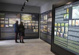 Inside the Vélez-Málaga museum