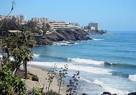 Judge orders closure of Benalmádena's dog beach after complaint from local resident