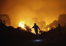 The huge fire on the Costa del Sol in 2012 claimed two lives.
