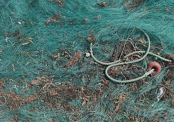 Infected gear helps the spread of the invasive algae.