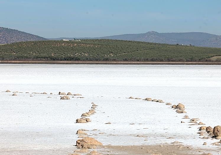 Imagen principal - Malaga's famous flamingo lagoon dries up