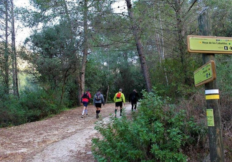 Three free nature walks are being offered in Marbella in May.