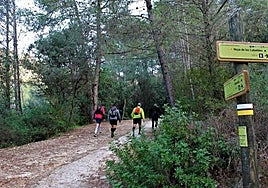 Three free nature walks are being offered in Marbella in May.