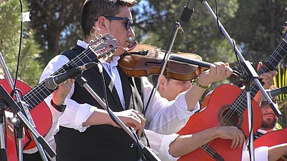 Festival to promote one of Malaga's oldest musical traditions