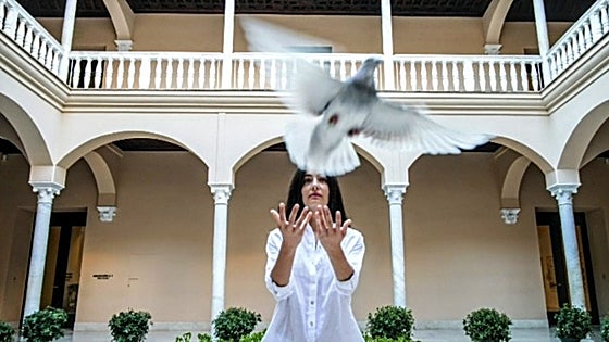 A symbol of peace from a Malaga-born genius