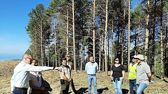 Fire prevention work carried out in Axarquía mountains as drought continues