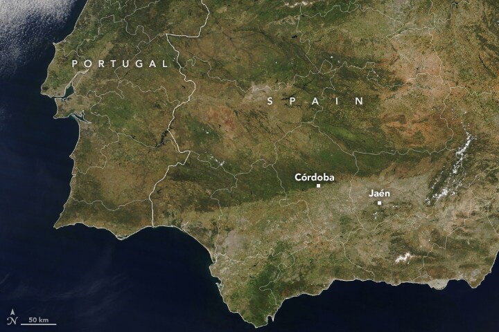 Imagen antes - Worrying Nasa satellite image shows how drought is leaving its mark on Andalucía