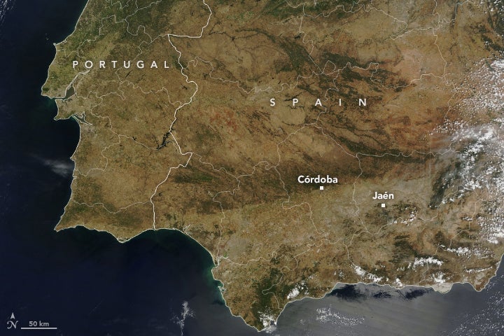 Imagen después - Worrying Nasa satellite image shows how drought is leaving its mark on Andalucía