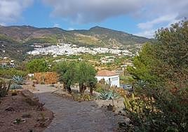 View of Casarabonela village from the cactus garden.