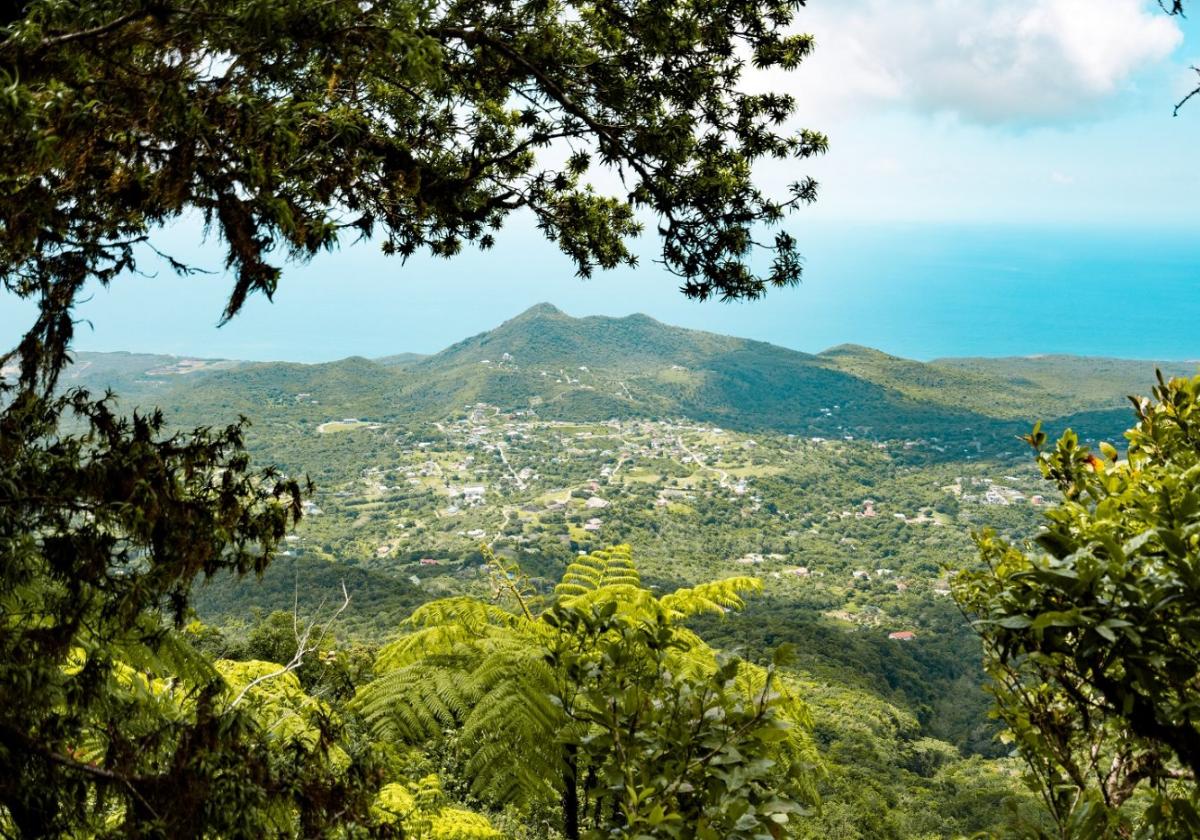 Rush slowly: discovering the authentic Caribbean