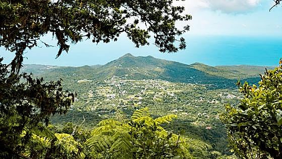 Rush slowly: discovering the authentic Caribbean