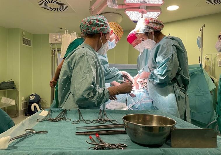 Record number of kidney transplants at Malaga hospital