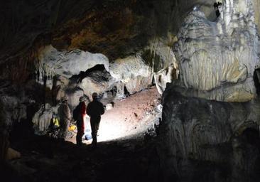 Study of seashells from inland Ardales cave demonstrates their use for adornment 32,000 years ago