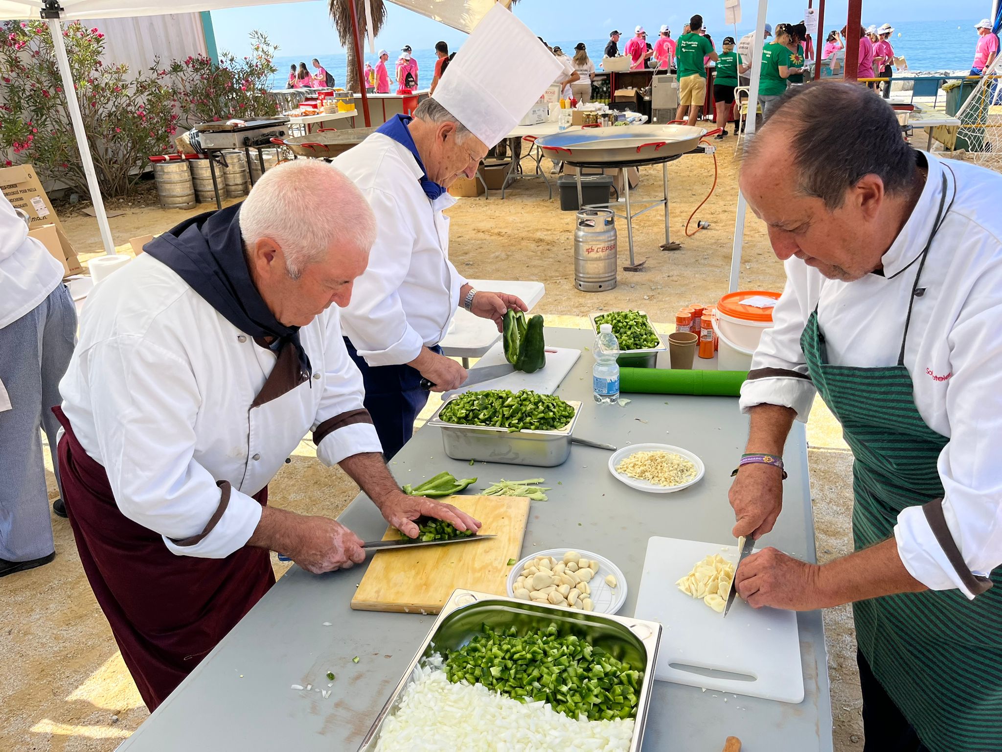 Cudeca Walkathon 2023, in pictures