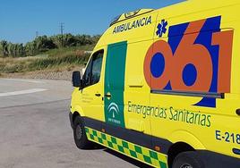 Motorcyclist dies after hitting palm tree in Torremolinos