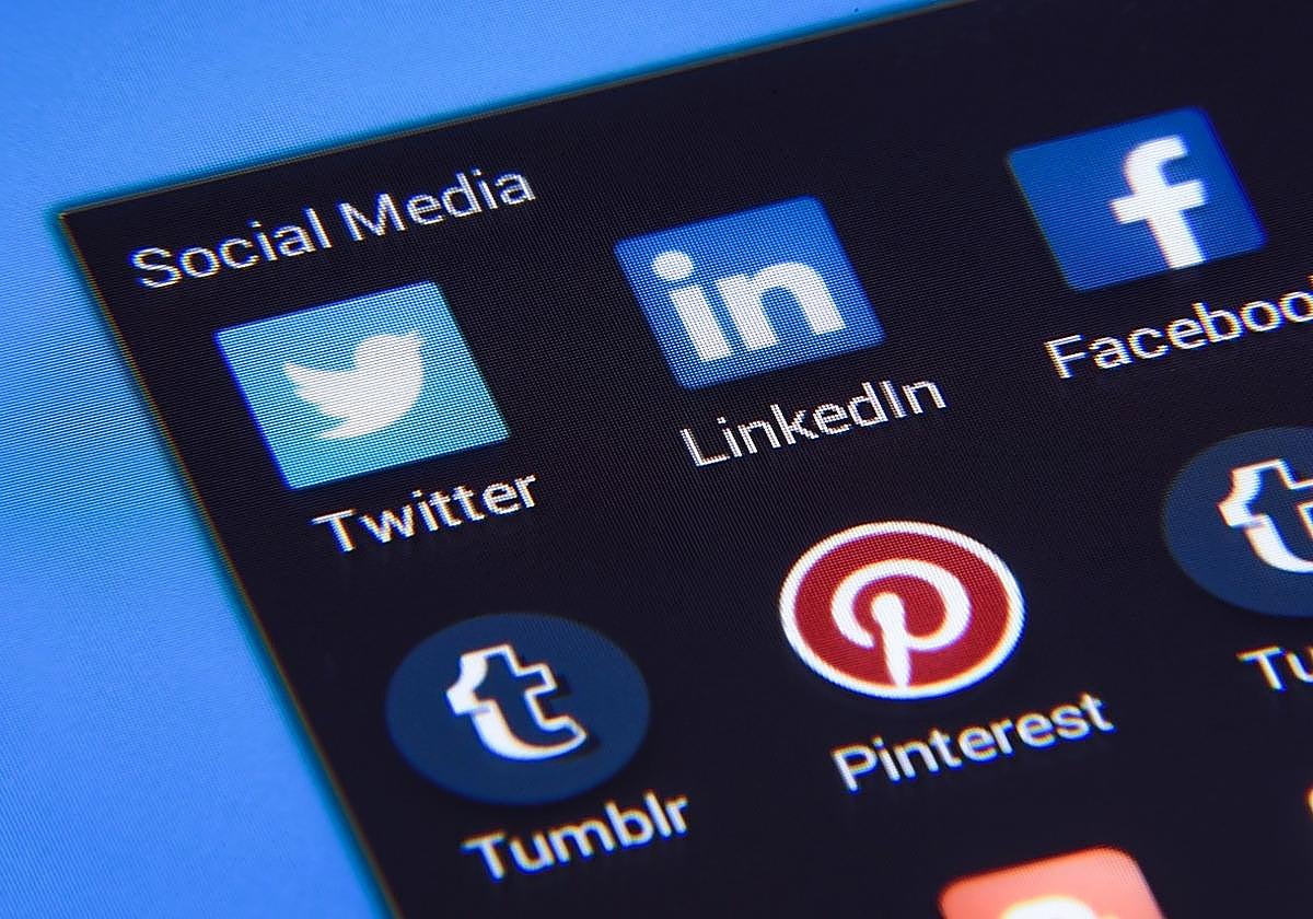 Bad advice from a bird