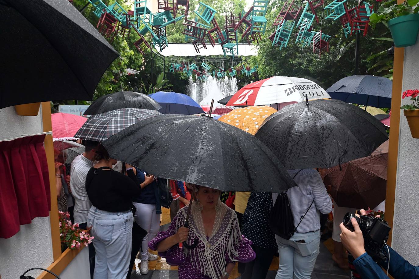 Celebrations for San Bernabé - in pictures
