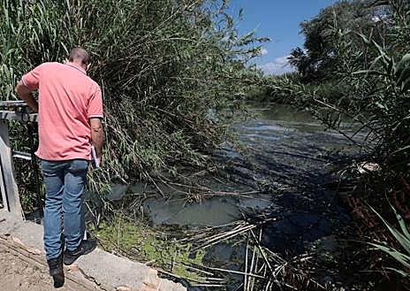 Imagen secundaria 1 - The dirty truth about the Guadalhorce: sewage, rubbish and dead animals