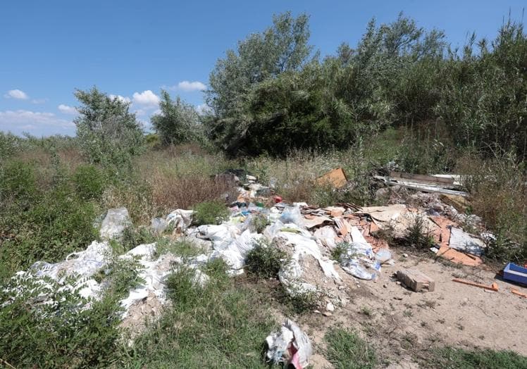 Imagen principal - The dirty truth about the Guadalhorce: sewage, rubbish and dead animals