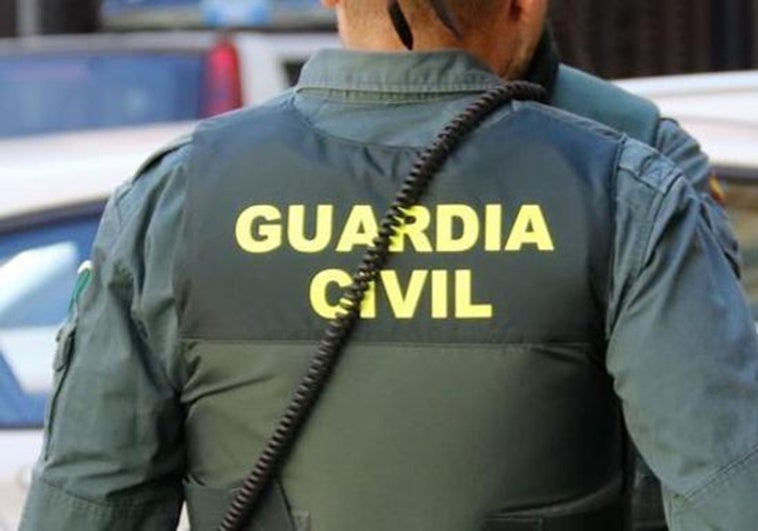 Six people investigated for the alleged squatting of property in Manilva and the assault of its British owner