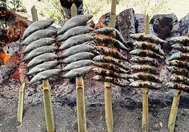 Espetos de sardinas (sardine skewers).