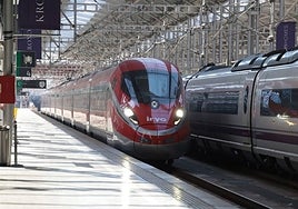 One of Iryo's trains at María Zambrano station in Malaga.