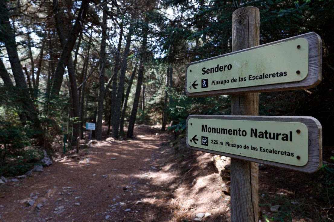 Drought and survival in the Sierra de las Nieves