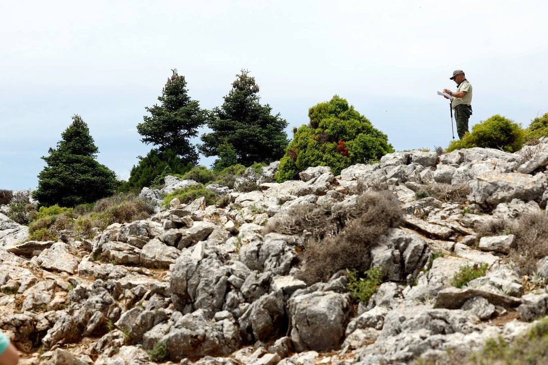 Drought and survival in the Sierra de las Nieves