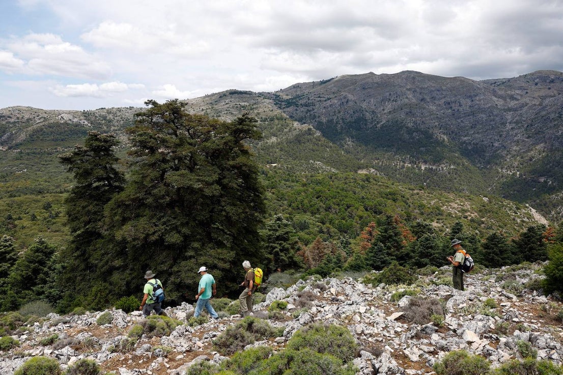 Drought and survival in the Sierra de las Nieves
