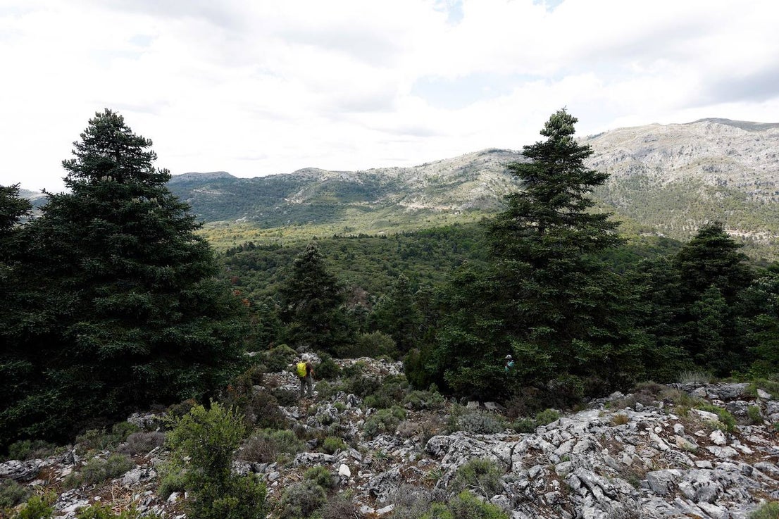 Drought and survival in the Sierra de las Nieves