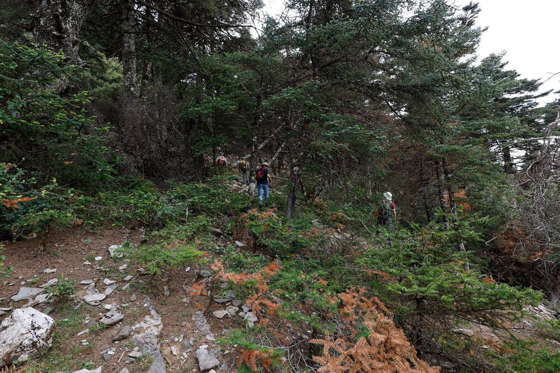 Drought and survival in the Sierra de las Nieves
