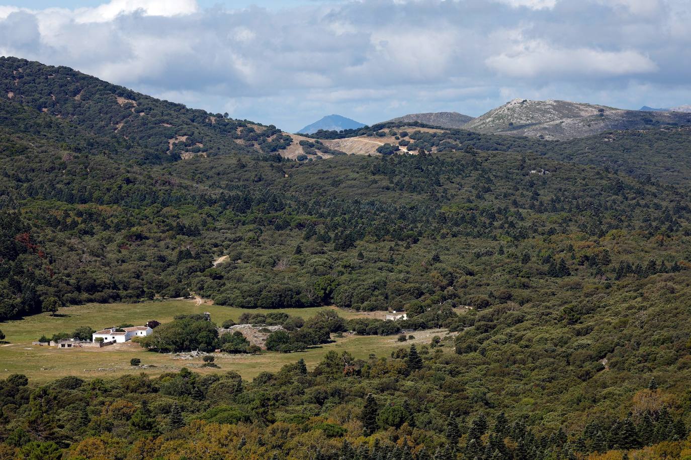 Drought and survival in the Sierra de las Nieves