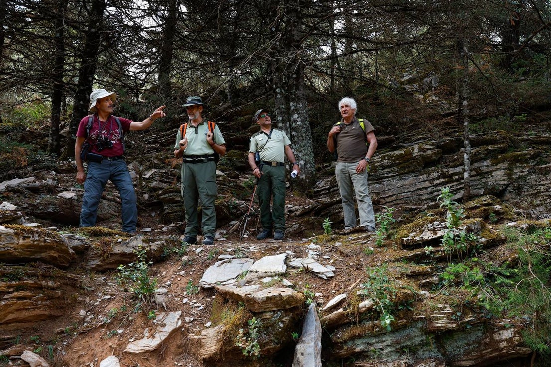 Drought and survival in the Sierra de las Nieves