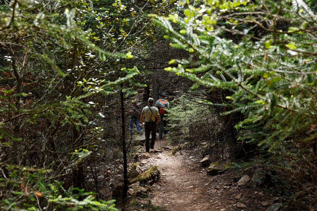 Drought and survival in the Sierra de las Nieves