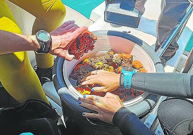 Travelling with researchers.