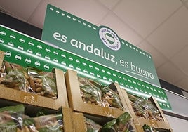 'It’s Andalusian, it's good' campain in Lidl stores.