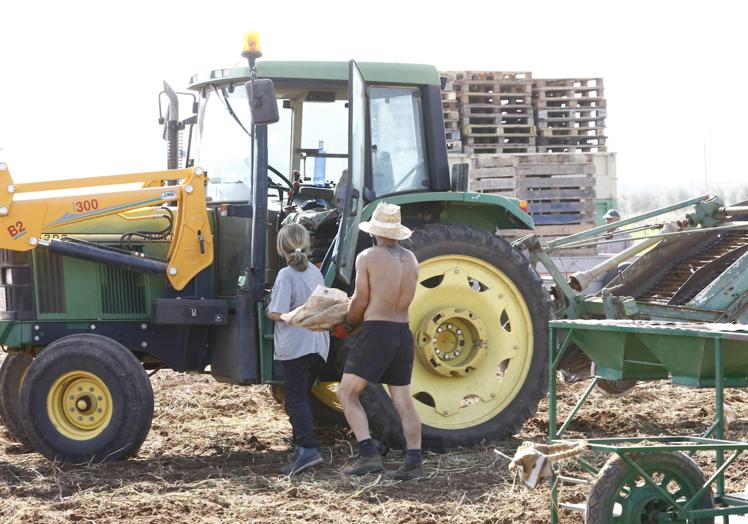 A couple working in the fields recently.